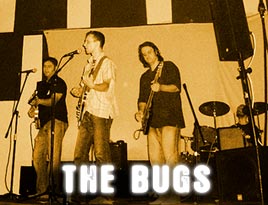 The Bugs